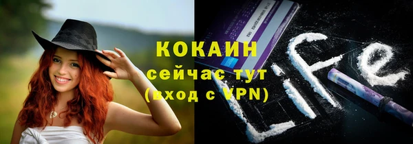 PSILOCYBIN Покров