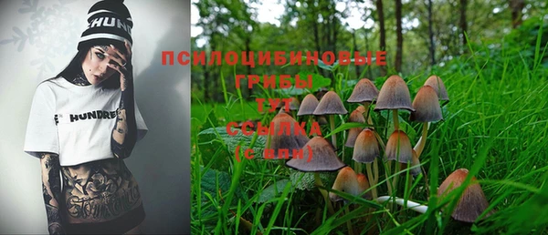 ешки Алексин