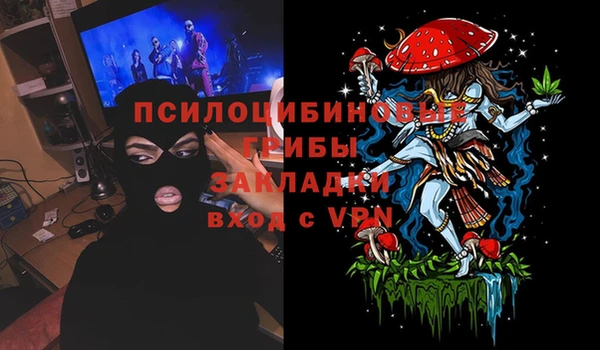 прущая мука Алзамай