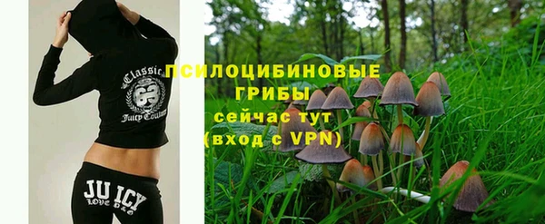 прущая мука Алзамай