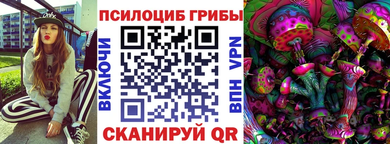 KRAKEN tor  Покачи  Псилоцибиновые грибы ЛСД 